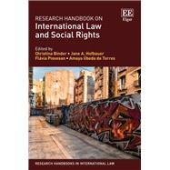 Research Handbook on International Law and Social Rights