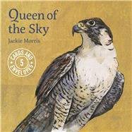 Jackie Morris Queen of the Sky Notecards Pack 1