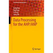 Data Processing for the AHP/ANP