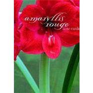 Amaryllis Rouge Note Cards
