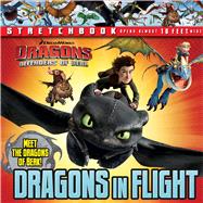 DreamWorks: Defenders of Berk: Dragons in Flight Stretchbook