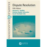 Examples & Explanations for Dispute Resolution