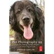 Pet Photography 101: Tips for taking better photos of your dog or cat