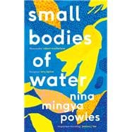 Small Bodies of Water