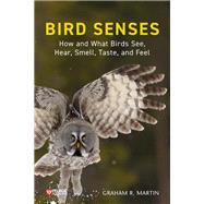 Bird Senses How What Birds See, Hear