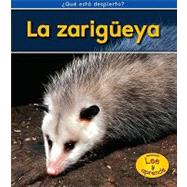 La zarigueya / Opossums