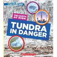 Tundra in Danger (A True Book: The Earth at Risk)