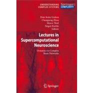 Lectures in Supercomputational Neuroscience