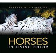 Horses : In Living Color