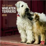 Soft Coated Wheaten Terriers 2010
