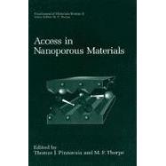 Access in Nanoporous Materials : Proceedings of a Symposium Held in East Lansing, Michigan, June 7-9, 1995