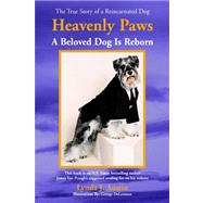 Heavenly Paws: A Beloved Dog Is Reborn