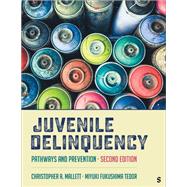 Juvenile Delinquency