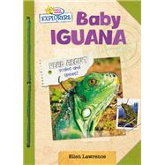 Baby Iguana