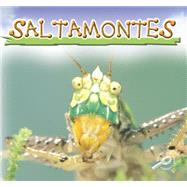 Saltamontes