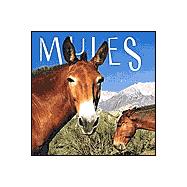 Mules 2002 Calendar