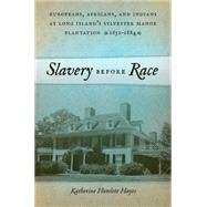 Slavery Before Race