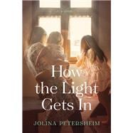 How the Light Gets in