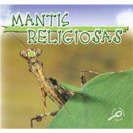 Mantis Religiosas