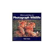 Where and How to Photograph Wildlife