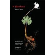 Bloodroot