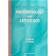 Phenomenology and Lattice Qcd