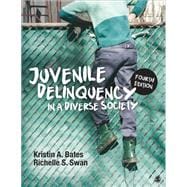 Juvenile Delinquency in a Diverse Society