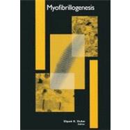 Myofibrillogenesis