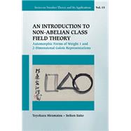 An Introduction to Non-Abelian Class Field Theory