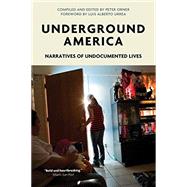 Underground America Narratives of Undocumented Lives
