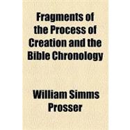 Fragments of the Process of Creation and the Bible Chronology