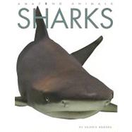 Amazing Animals: Sharks