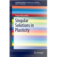 Singular Solutions in Plasticity