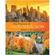 The Practice Of Macro Social Work