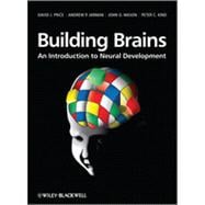 Building Brains : An Introduction to Neural Development
