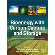 Bioenergy With Carbon Capture and Storage