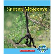 Spider Monkeys