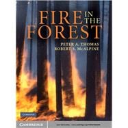 Fire in the Forest