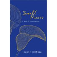 Small Pieces A Book of Lamentations