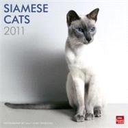 Siamese Cats 2011 Calendar