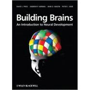 Building Brains An Introduction to Neural Development