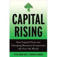 Capital Rising How Capital Flows Are Changing Business Systems All Over the World