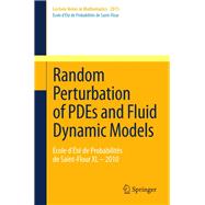 Random Perturbation of PDEs and Fluid Dynamic Models