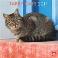Tabby Cats 2011 Calendar