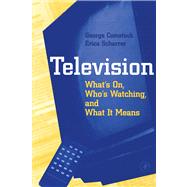 Television : What's on, Who's Watching, and What It Means