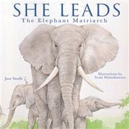She Leads The Elephant Matriarch