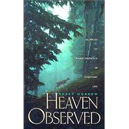 Heaven Observed : Glimpses of Transcendence in Everyday Life