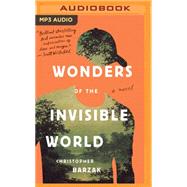 Wonders of the Invisible World