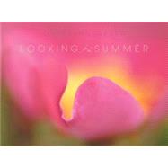 Looking For The Summer