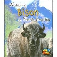 Watching Bison in North America